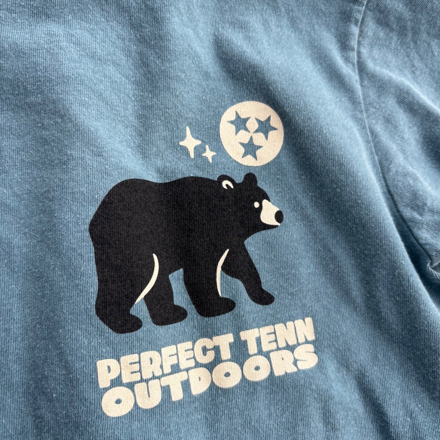 Tennessee Outdoors East Tennessee Flora & Fauna Faded Blue Tee
