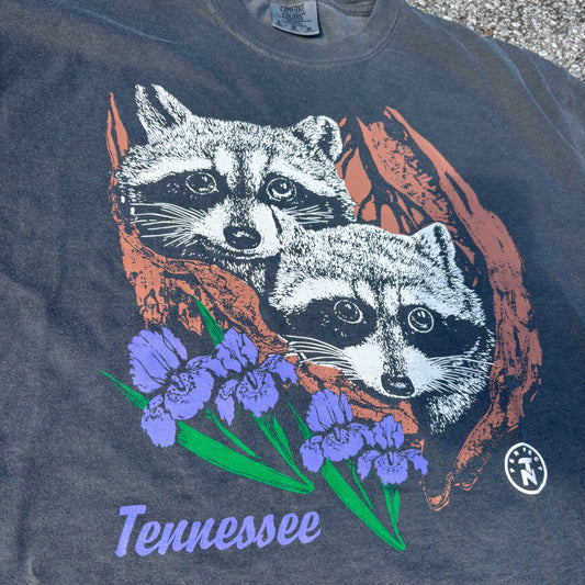 Tennesseee Raccoons in Stump with Iris Crop Tee