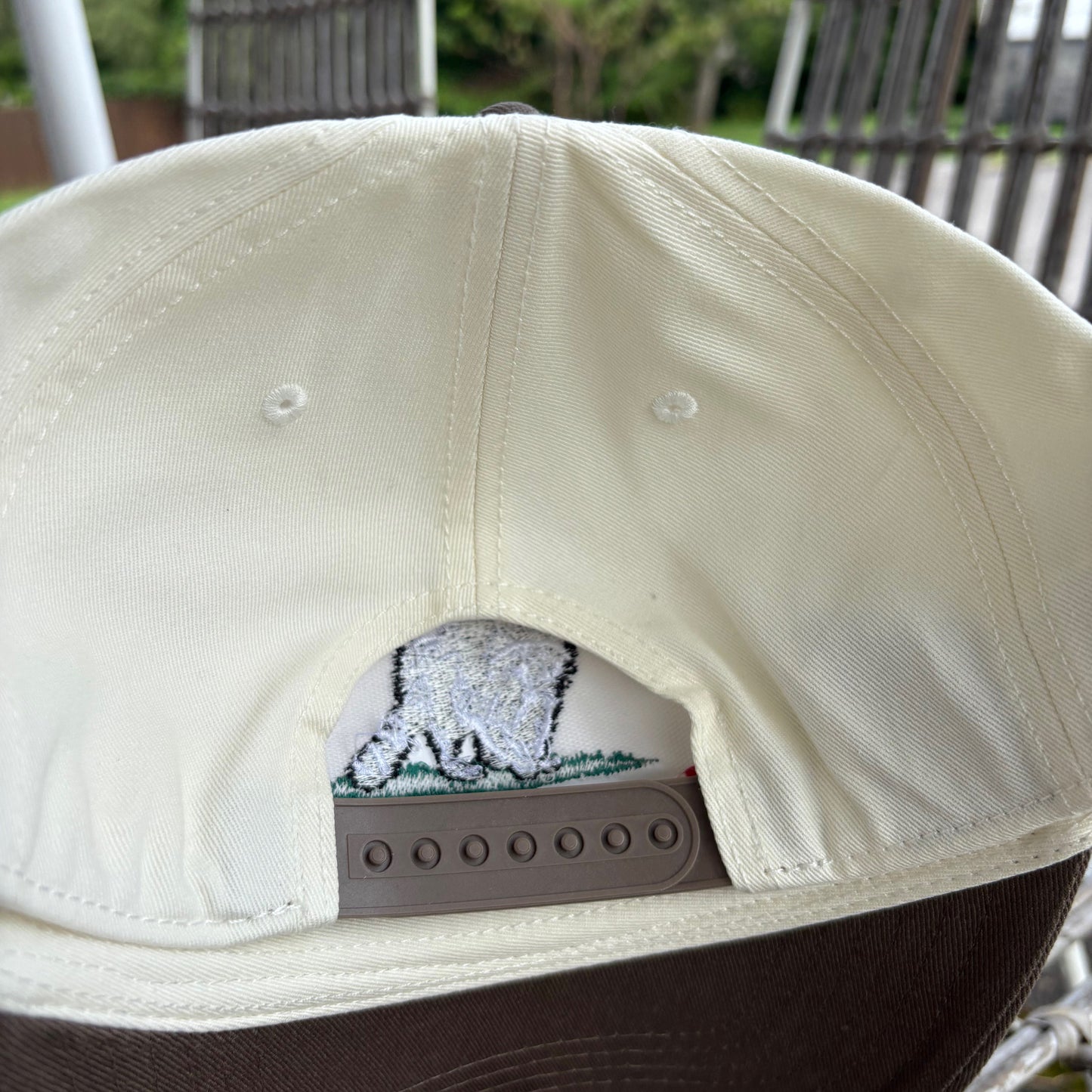 Nashville, Tenn Raccoon Beige Hat
