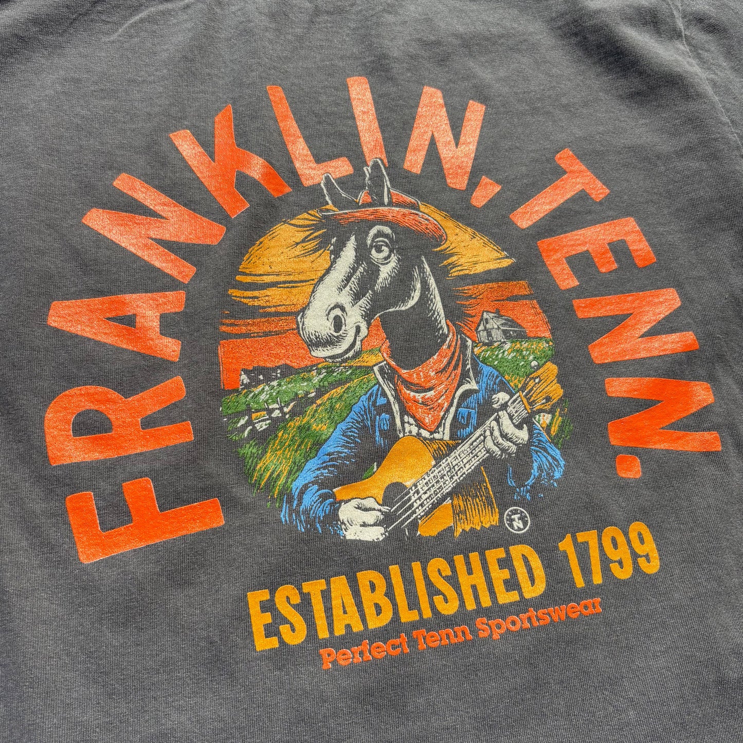 Franklin, Tenn Walking Horse Guitarist Faded Black Tee