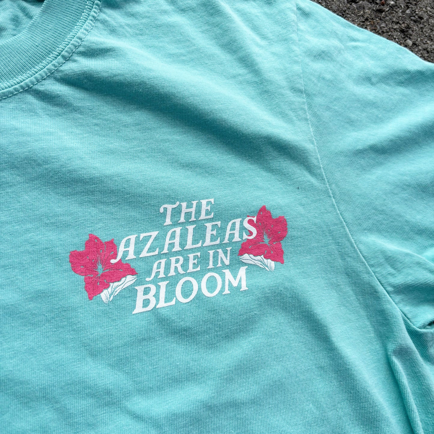 Azaleas in Bloom - Spring Golf CROP