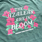 Azaleas in Bloom - Spring Golf Tee
