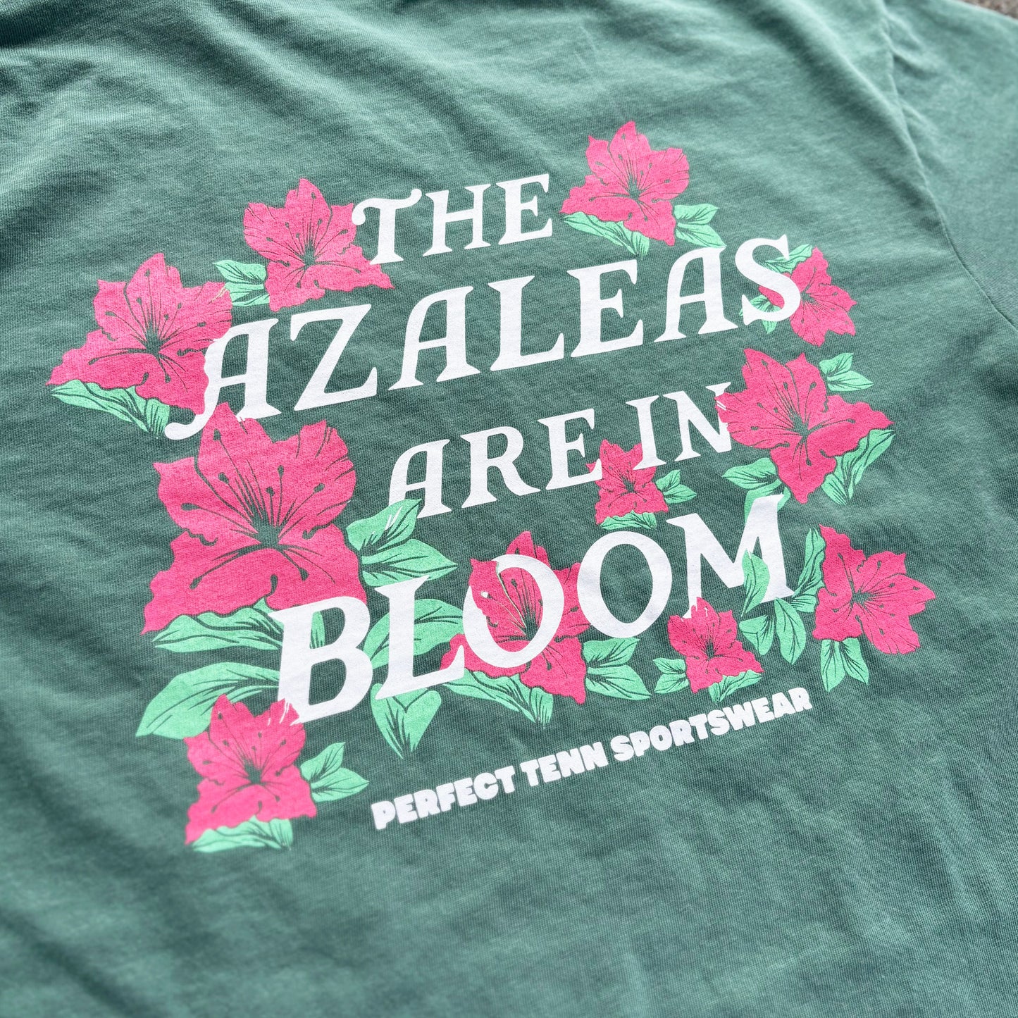 Azaleas in Bloom - Spring Golf Tee