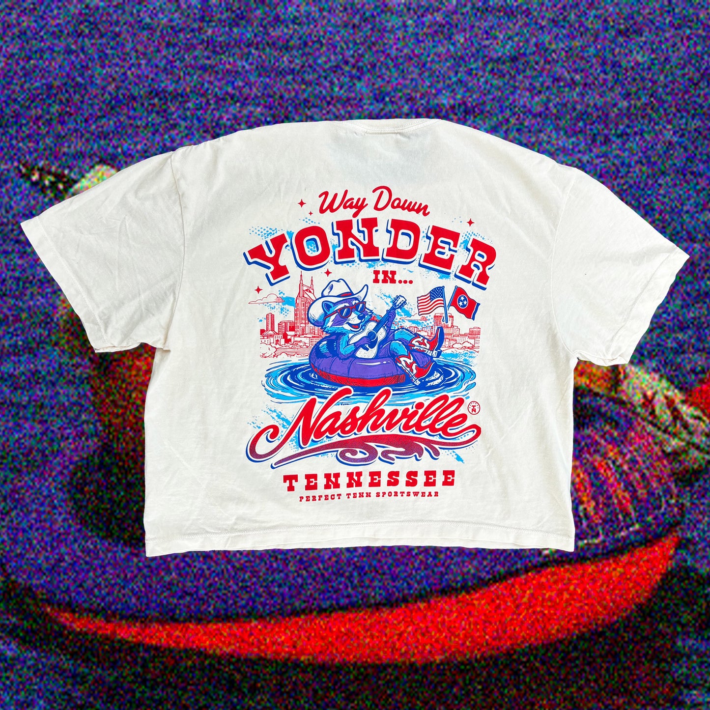 Way Down Yonder 90s Country Raccoon Ivory CROP