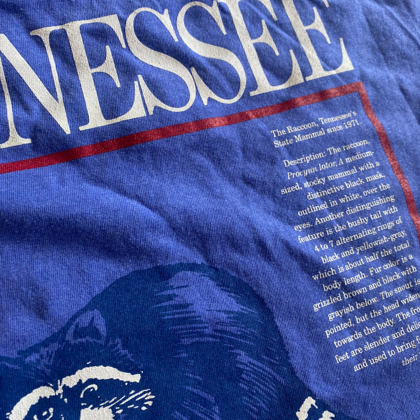 Tennessee Raccoon Flag Periwinkle Tee